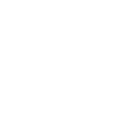 fantom icon