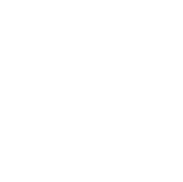 icon Generative AI Development