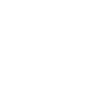 icon google speech