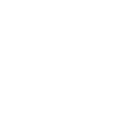 next js icon