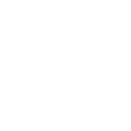 nginx icon