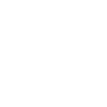 polkadot icon