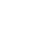 polygon icon
