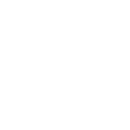 python icon