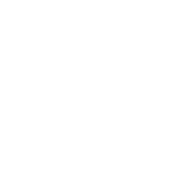 icon Replica